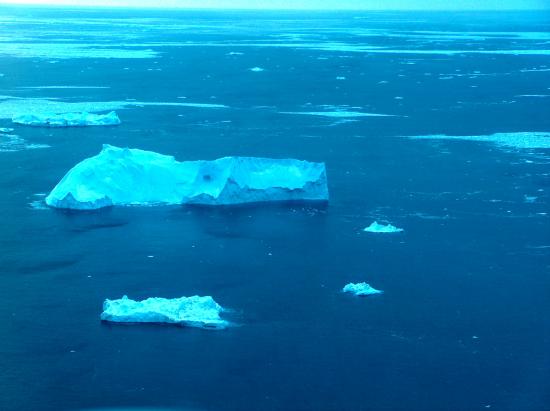 Premiers Icebergs