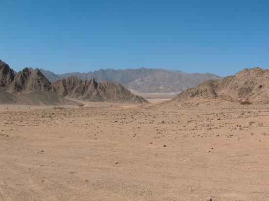 Desert du Sinaï