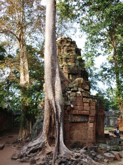 Angkor Wat